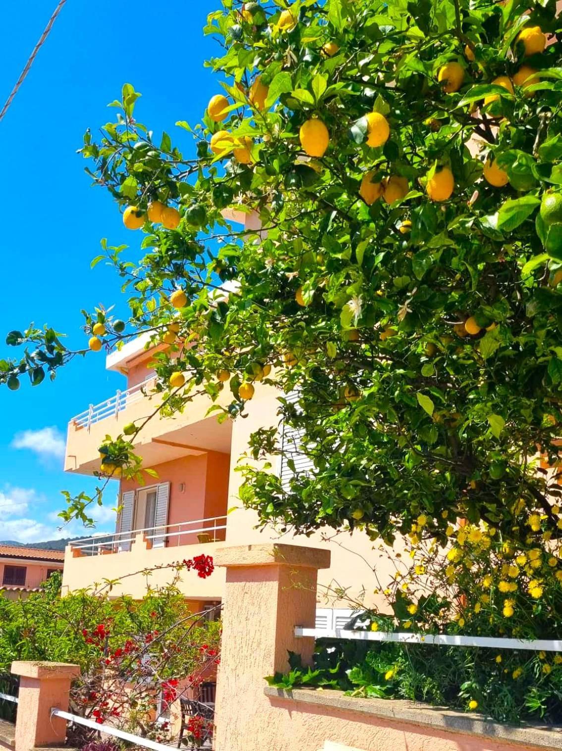 Casa Vacanze Mura Кала-Гононе Екстер'єр фото